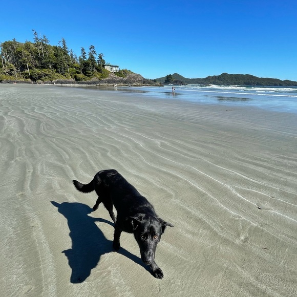 Meet your Posher, Nikki. - Picture 1 of 1